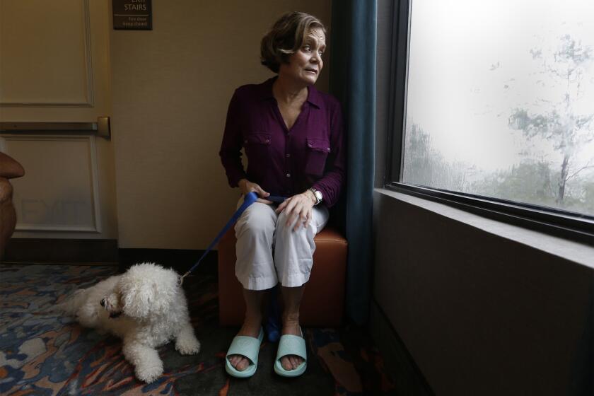 FT.MYERS, FLORIDA--SEPT. 10. 2017--Maria Koenig, age 63, of Estero and her dog Baeley sit by the window at their hotel where Maria is keeping an eye on the storm. In Estero, Florida at the Hampton Inn, those who were lucky enough to get a room are riding out Hurricane Irma as it passes through on Sunday, Sept. 10, 2017. (Carolyn Cole/Los Angeles Times)