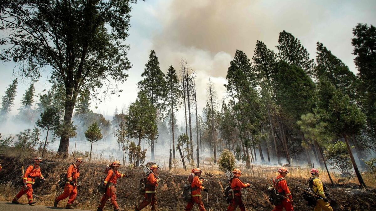 Inmate crews work to defend Jerseydale from the incoming Ferguson fire, which ignited July 13 outside Yosemite National Park.
