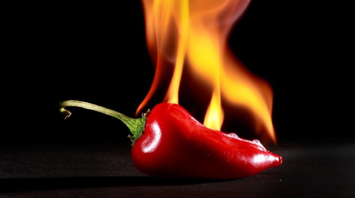 Where does hot sauce come from? Charles Perry knows.