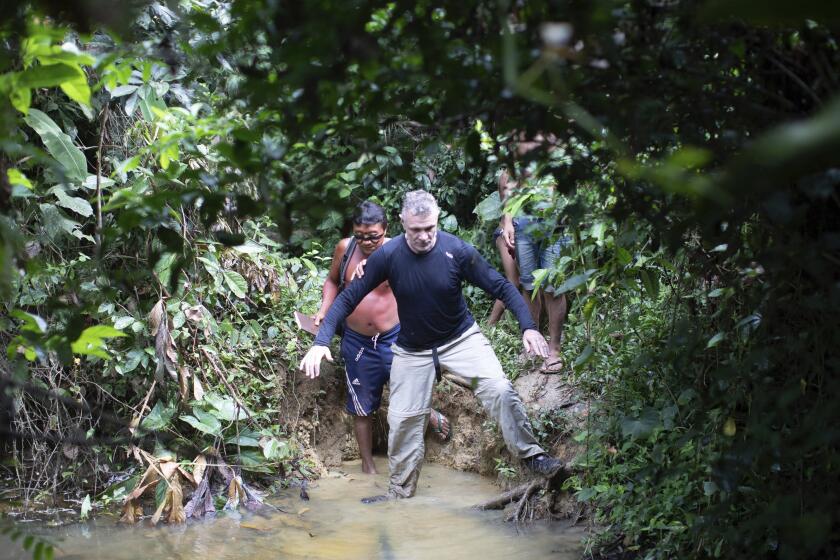 British journalist Dom Phillips, right, and a Yanomami Indigenous man walk in Maloca Papiu village, Roraima state, Brazil, Nov. 2019. Phillips and Indigenous affairs expert Bruno Araujo Pereira have been reported missing in a remote part of Brazil's Amazon region, a local Indigenous association said Monday, June 6, 2022. (AP Photo/Joao Laet)