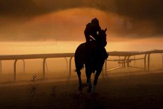 A horse works out ahead of the 156th running of the Belmont Stakes horse race at Saratoga Race Course.