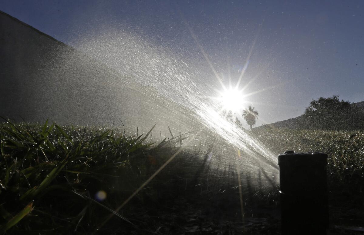 Sprinklers irrigate a lawn in Sacramento, Calif. in this file photo from June 23, 2015.