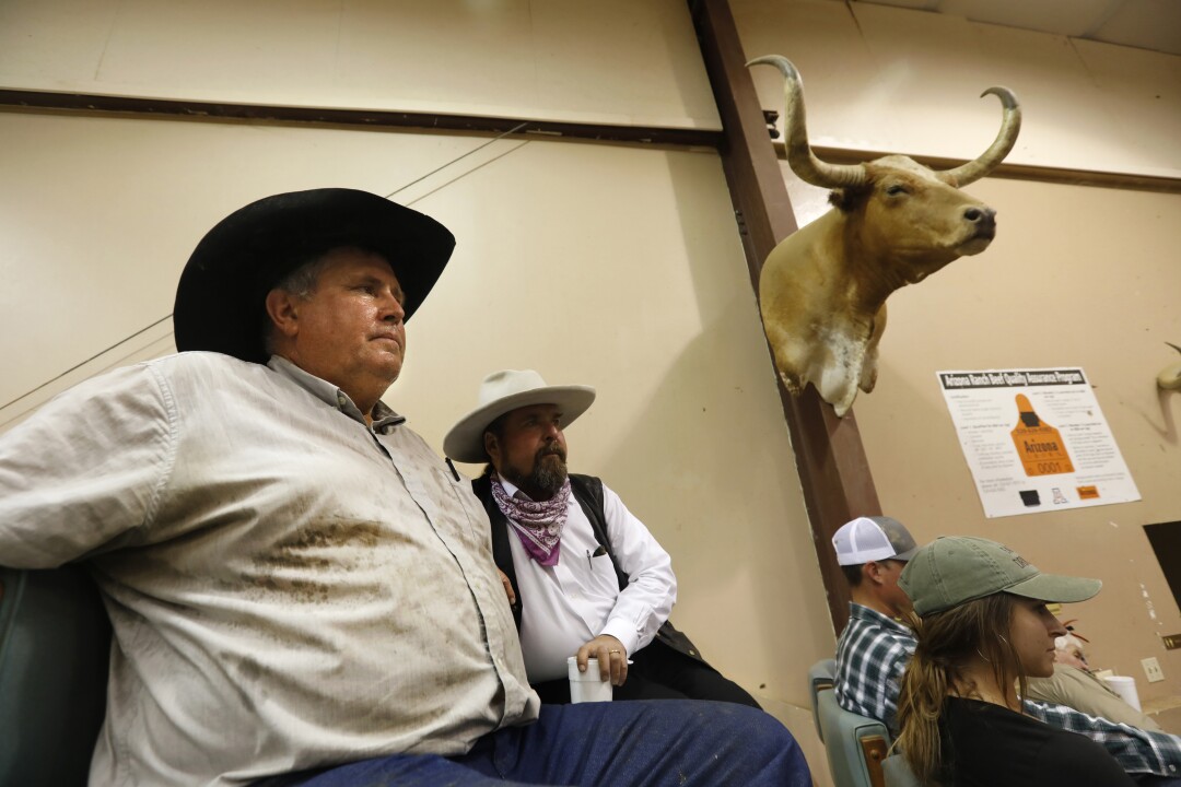 Rancher Mike Mercer, left, regularly buys and resells cows at Marana Stockyards.