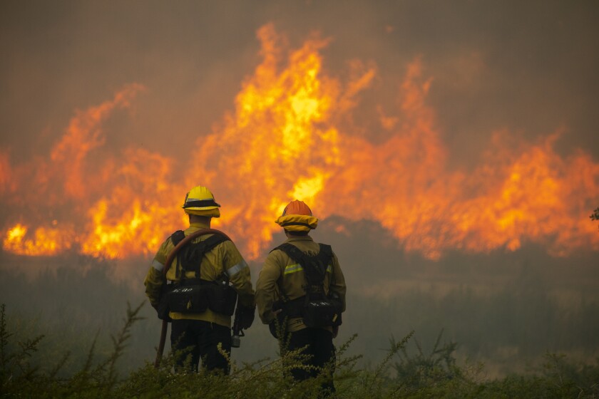 Two firefighters stand facing a wall of flames in the distance