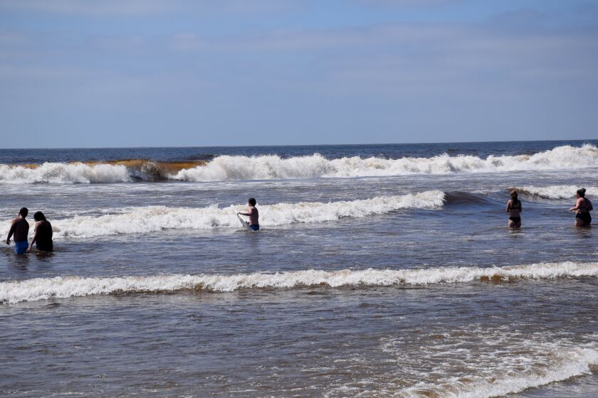 People play in the waves at Mission Beach on Monday, April 27, 2020.