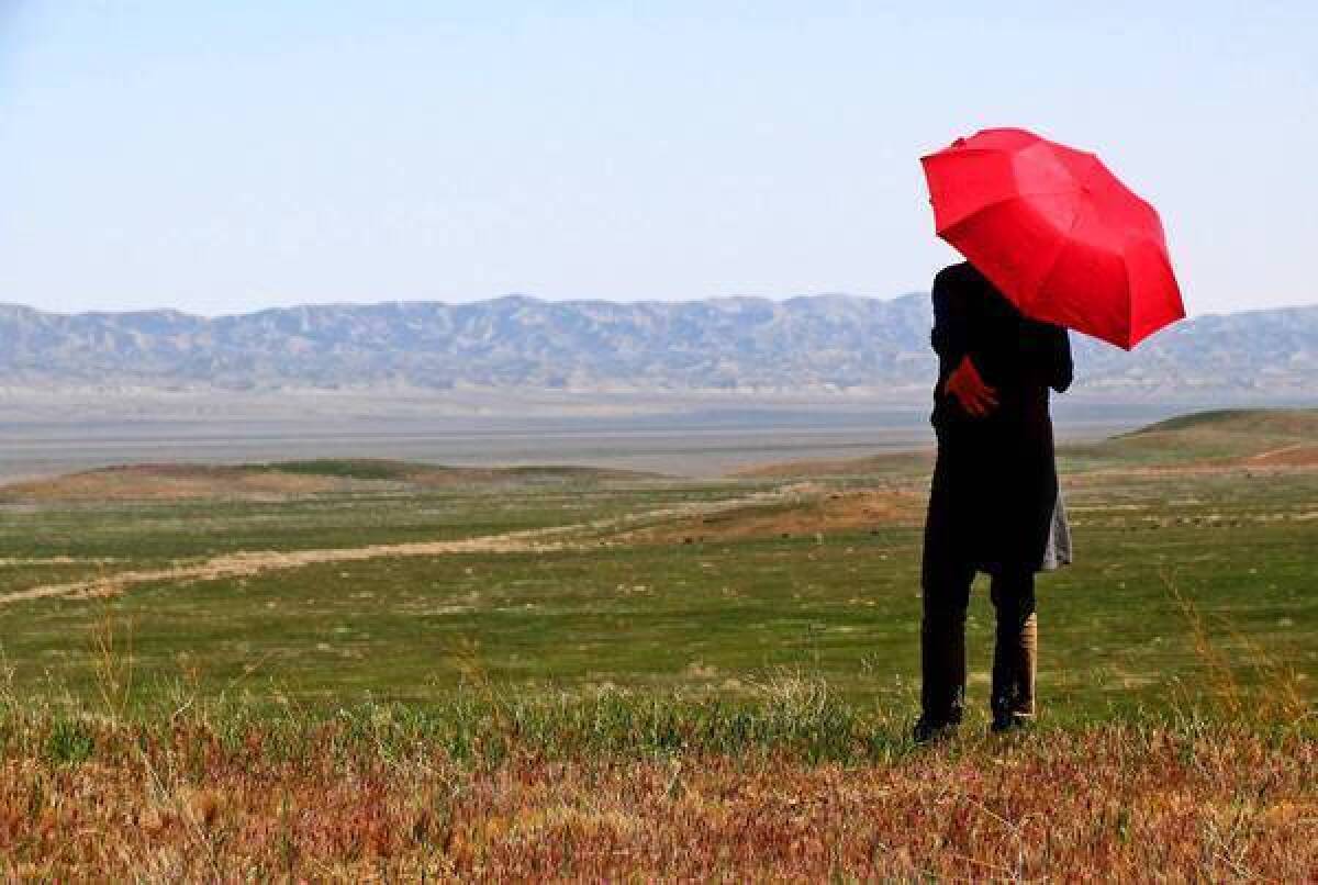 With sweeping views from every angle, tranquil Carrizo Plain in southeastern San Luis Obispo County surrounds Soda Lake, a huge alkaline wetland.