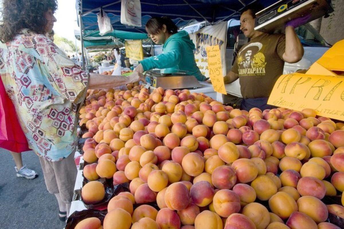 Robada apricots grown by Scattaglia Family Farms in Littlerock, at the Hollywood farmers market.
