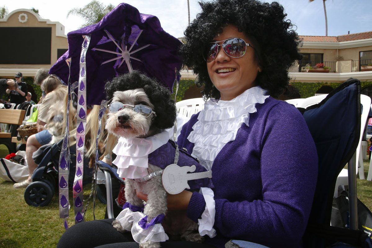 Terri Pobre and her dog Ruffy wait for their turn to compete in the category "Whose Dog Looks Most Like Their Owner" contest at the Del Mar 22nd Annual Ugly Dog Contest held on Sunday. (Nelvin C. Cepeda)