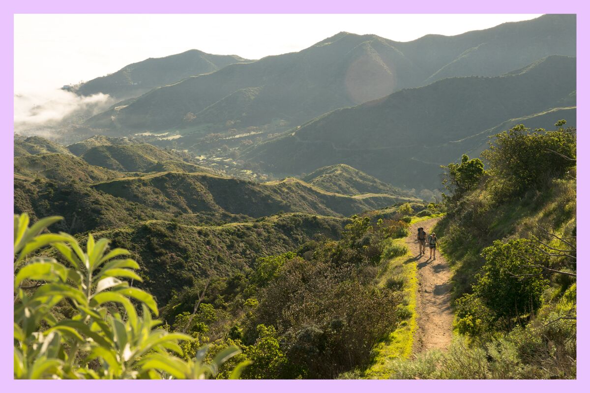 Two hikers walk a trail on Catalina Island.