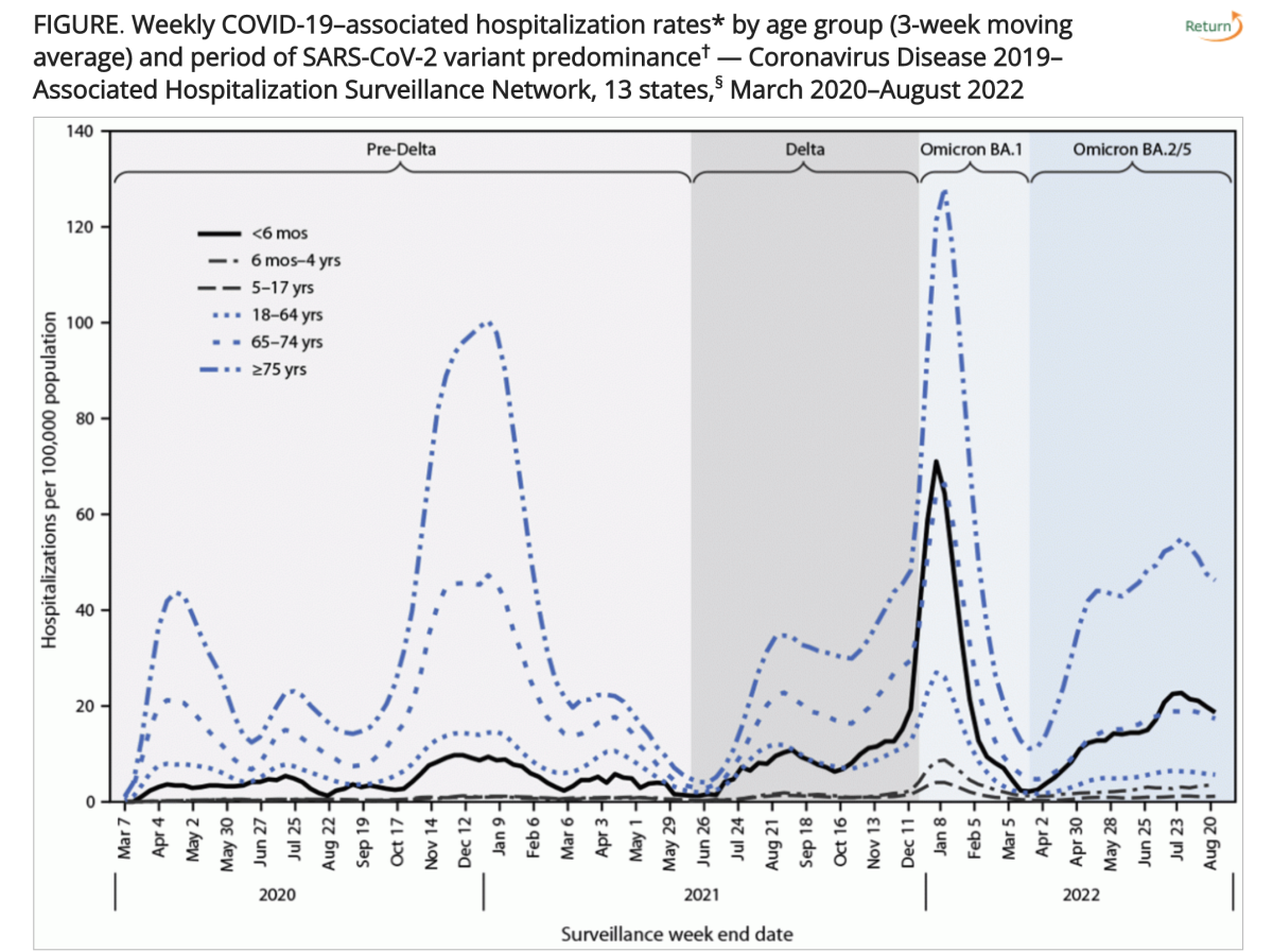 The COVID-19 hospitalization rate for youngest infants was similar to that of younger seniors during the summer surge.