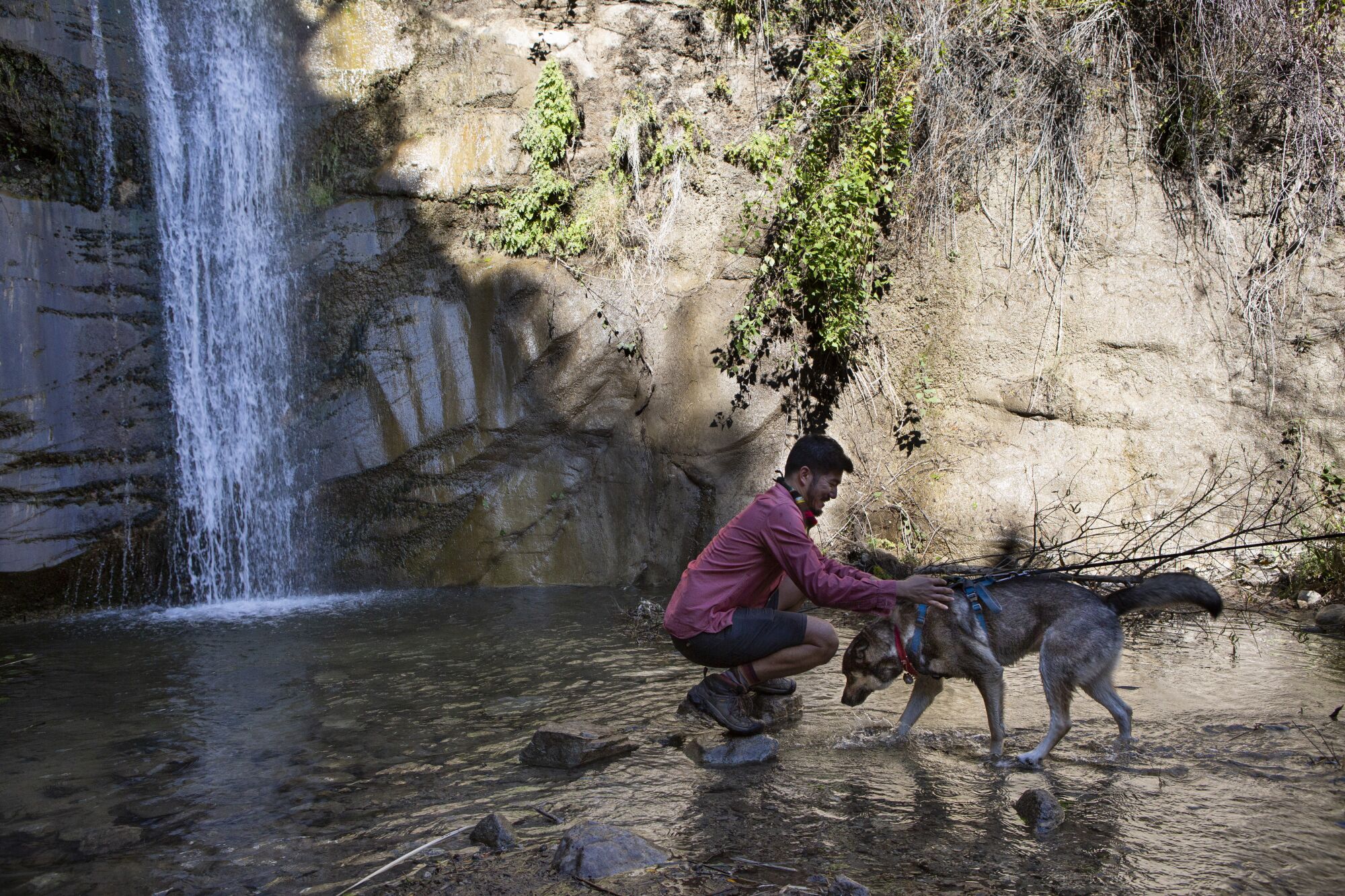 Near a waterfall and a rock wall, a man kneels on rocks in shallow water with his dog.