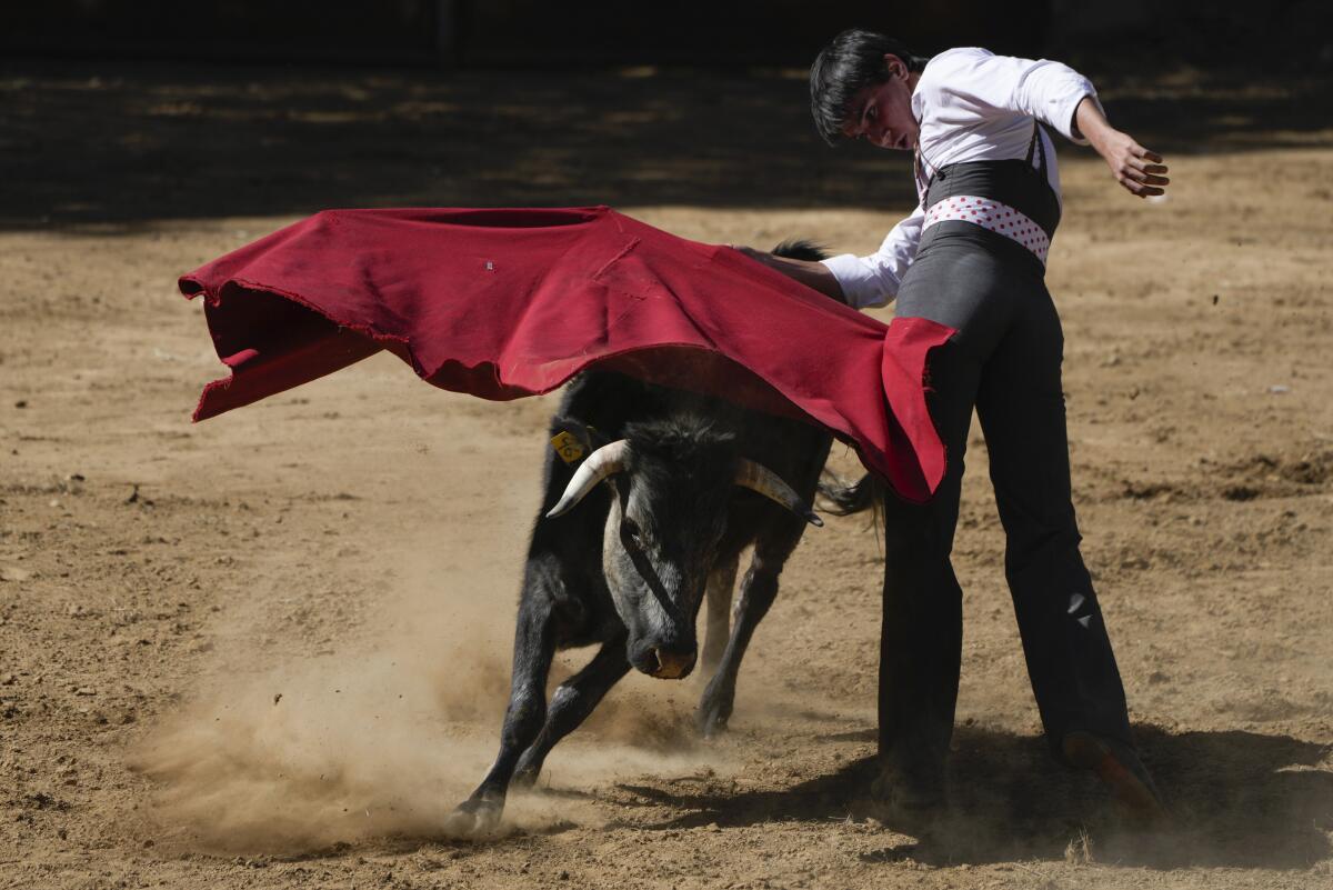 El torero Javier Spinola 