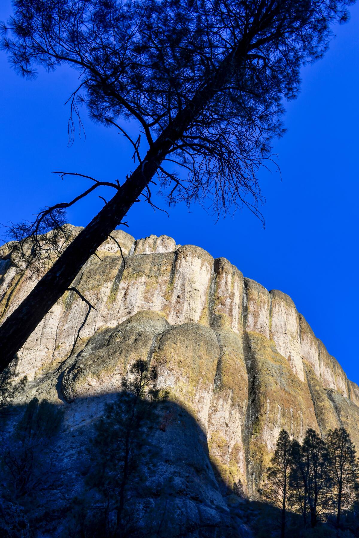 A landscape view of Pinnacles National Park