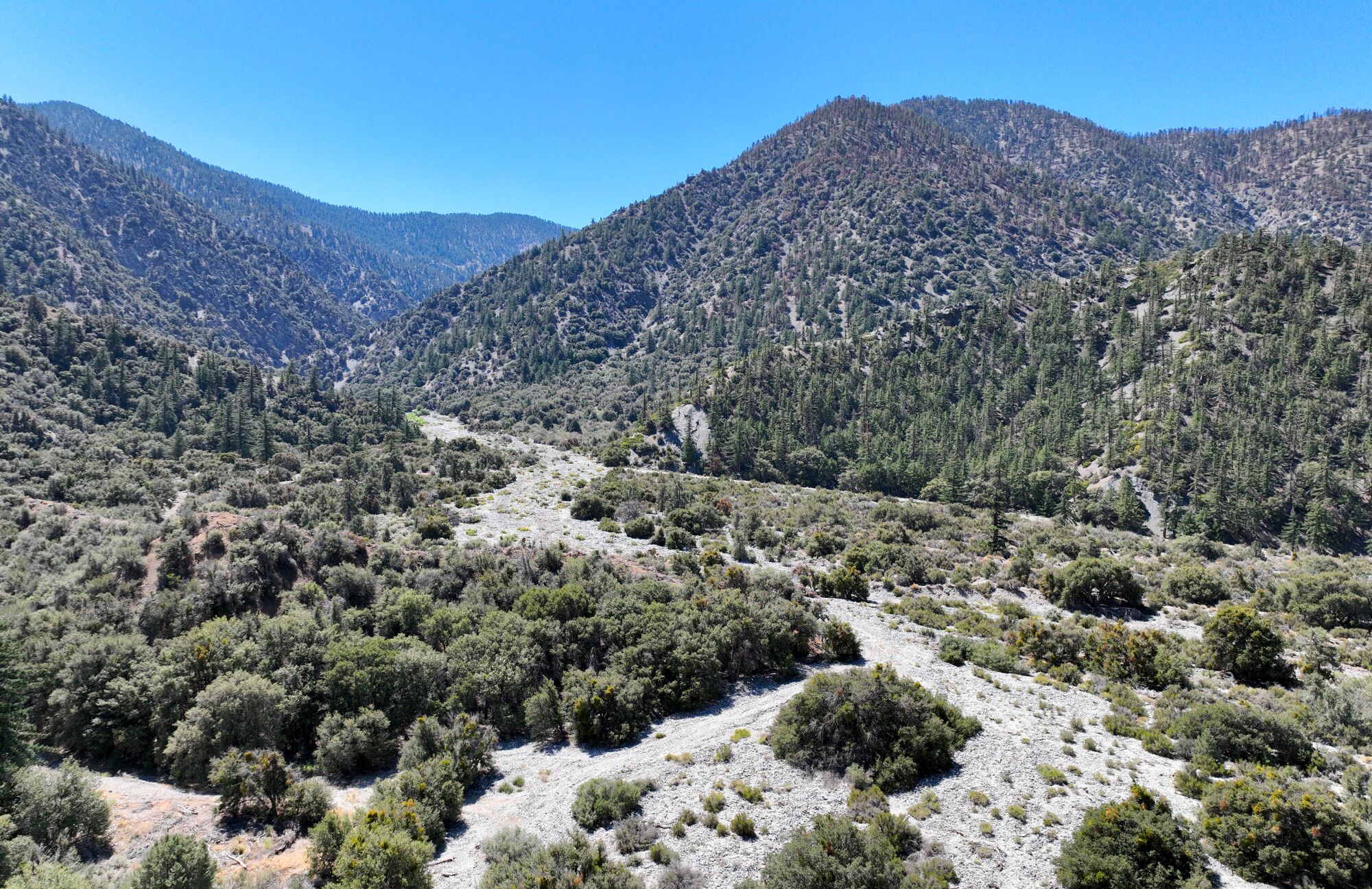 The San Gabriel Mountains inside the Angeles National Forest
