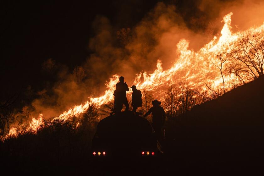 Los residentes trabajan para contener los incendios forestales en Nogales, en la zona de las altas montaas del estado de Veracruz, México, la noche del lunes 25 de marzo de 2024. (AP Foto/Félix Márquez)