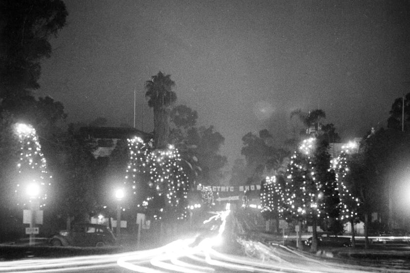 Head lights of hundreds of cars converging on scene trace ribbons of light in this Nov. 1959 time exposure photograph of illuminated trees in Balboa Park.