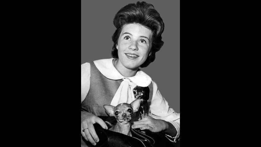 Patty Duke, 16 ani, pozează cu Oscarul și norocosul ei Chihuahua în aprilie 1963.