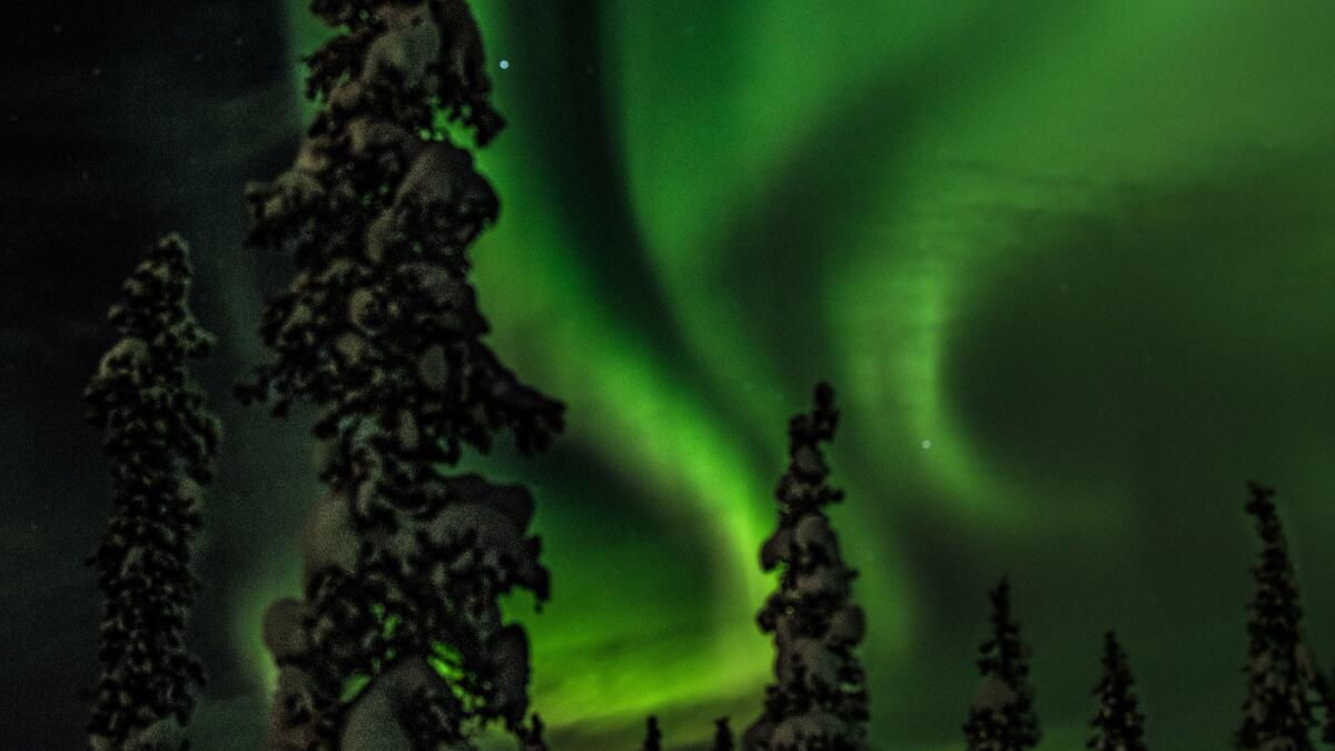The Northern Lights over base camp just outside of Kiruna. It had always been a life goal of mine to see them, and they turned out to be one of the most amazing things I've ever witnessed.