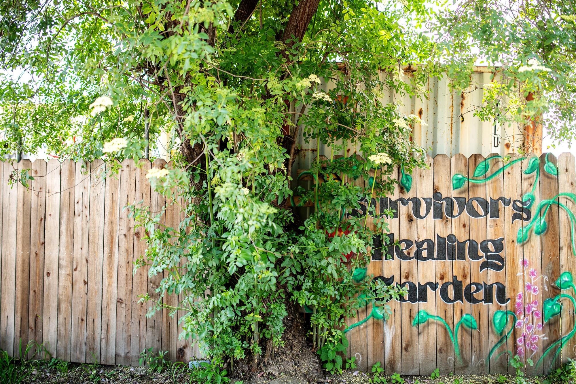 A tree with green leaves grows against a fence decorated with sprout illustrations and the words "Survivors Healing Garden."