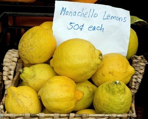 Monachello lemons grown by Mud Creek Ranch of Santa Paula and sold at the Hollywood farmers market. RECENT & RELATED Cooking through the seasons: Your guide to the seasons freshest produce, recipes included INTERACTIVE MAP: Explore your local farmers market. Browse recipes from the L.A. Times test kitchen