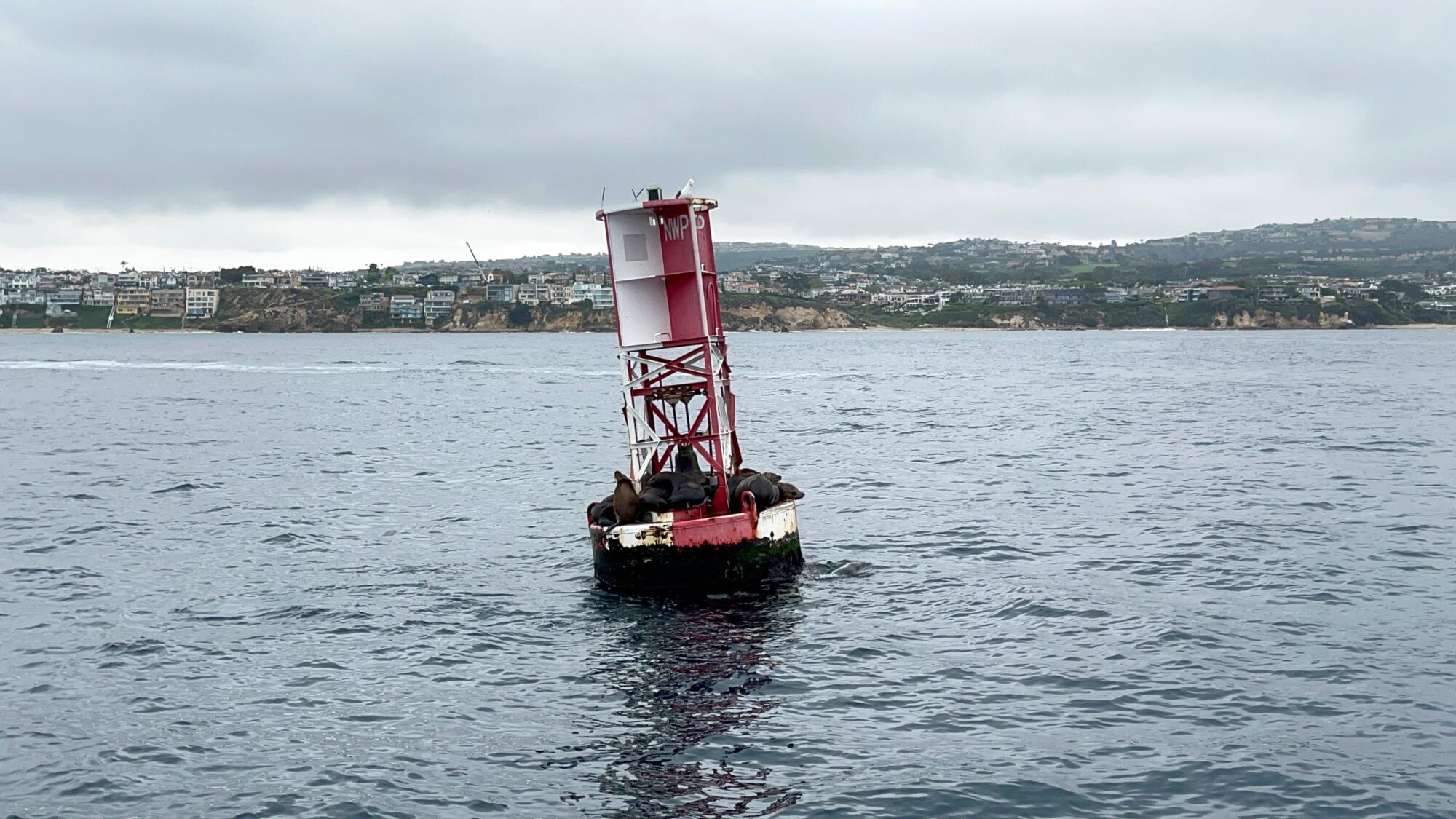 A buoy in the ocean.