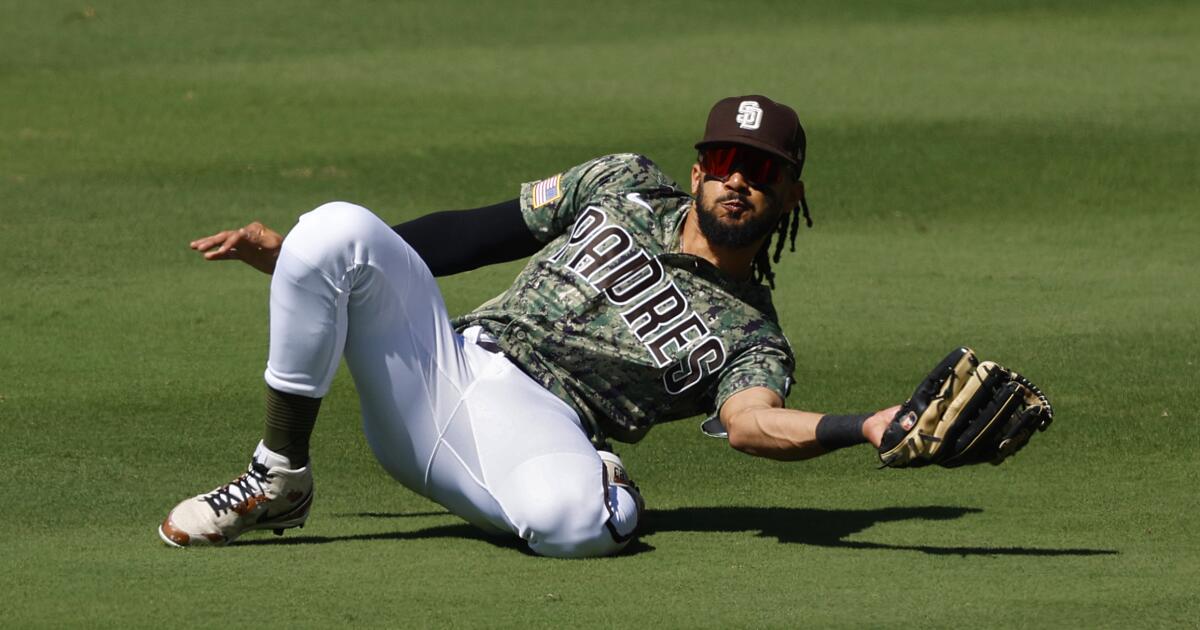 Here's a photo i snagged of Fernando Tatis Jr in right field