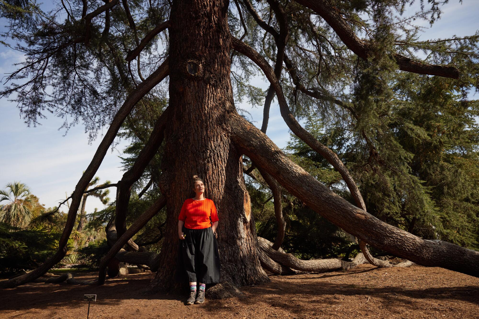 Debra Wilbur, in a red shirt, leans against a large tree while looking up.