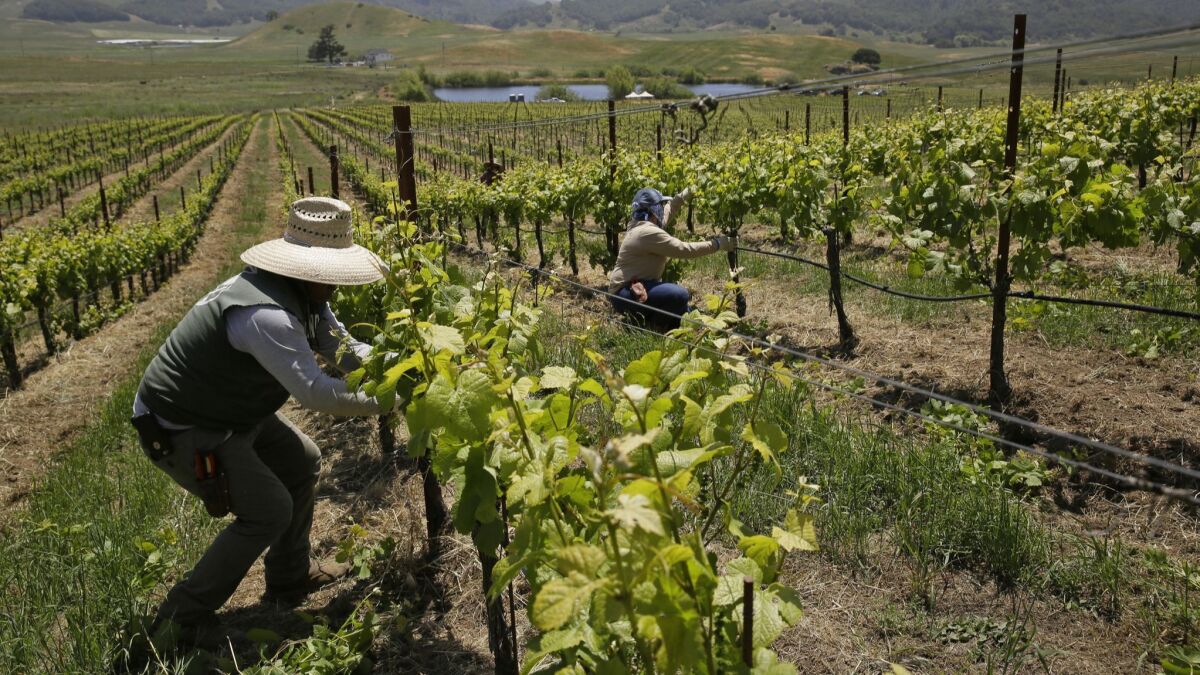 A Coachella Valley labor contractor will have to pay nearly $647,000 to more than 1,300 farm workers for failing to issue final paychecks on time, the state labor commissioner announced Monday.