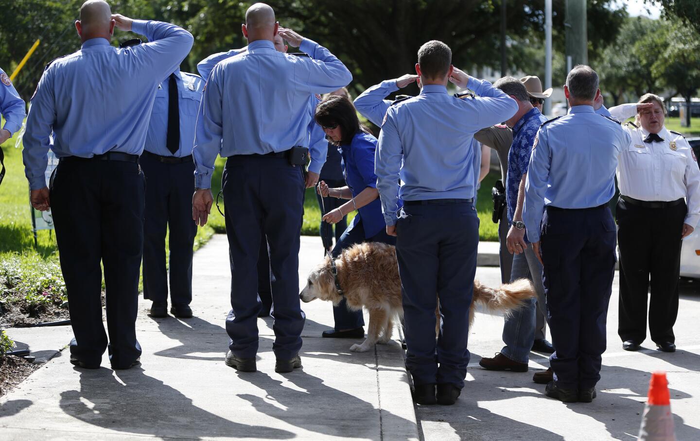 Bretagne, the last surviving search and rescue dog from 9/11, is walked by her handler Denise Corliss past a flank of members of the Cy-Fair Volunteer Fire Department, as she was brought into the Fairfield Animal Hospital, Monday, June 6, 2016, in Cypress, Texas to be euthanized.