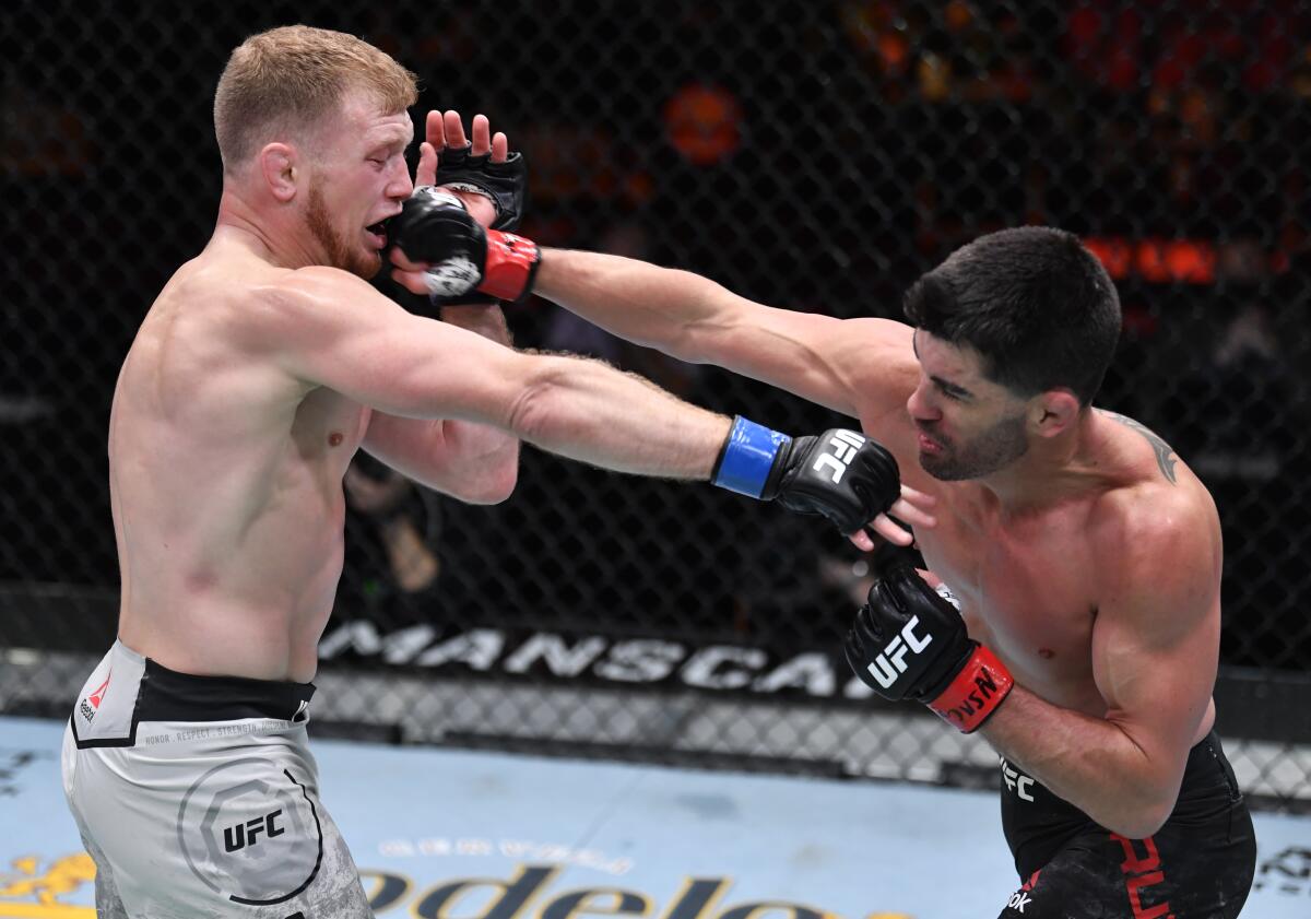 Dominick Cruz, right, punches Casey Kenney in their bantamweight fight at UFC 259.