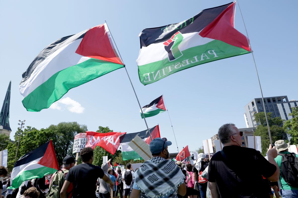 Pro-Palestine protesters gather at Union Park and wave flags, signs and banners