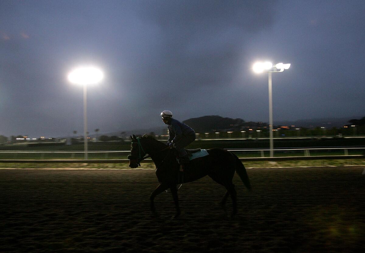 A jockey takes a horse for an early-morning workout at Golden Gate Fields. 