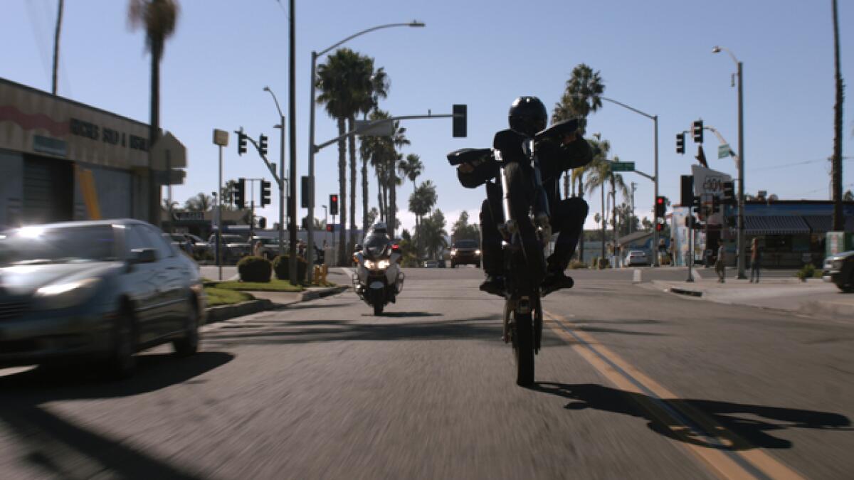 A man on a motorcycle doing a wheelie on a street lined with palm trees