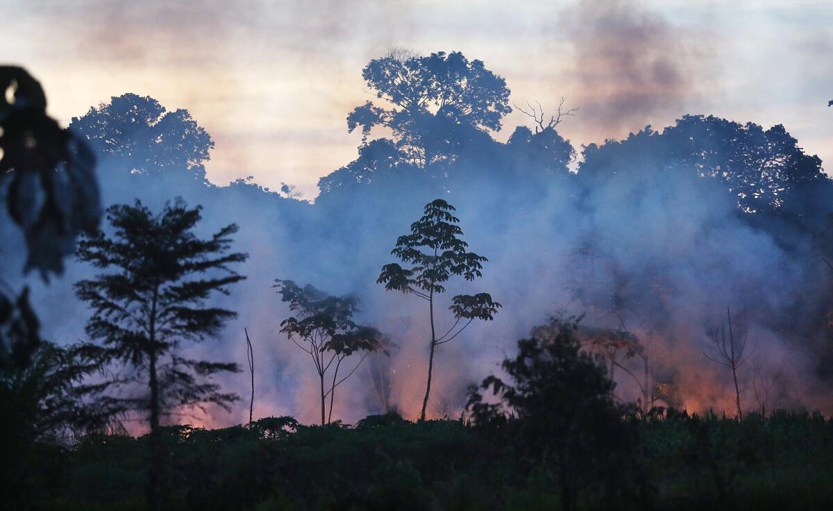Fire burns in a deforested section along the Interoceanic Highway in Peru's Madre de Dios region.