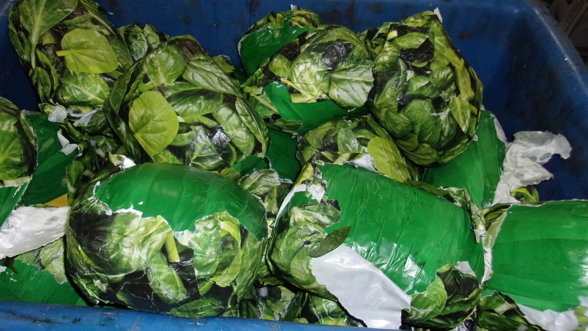 CBP officers found packages of methamphetamine, made to look like fresh spinach, Wednesday at the Otay Mesa port of entry.