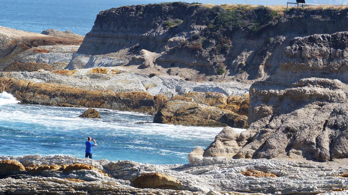 At Montaña de Oro State Park, the Bluff Trail leads to tide pools below rocky cliffs.