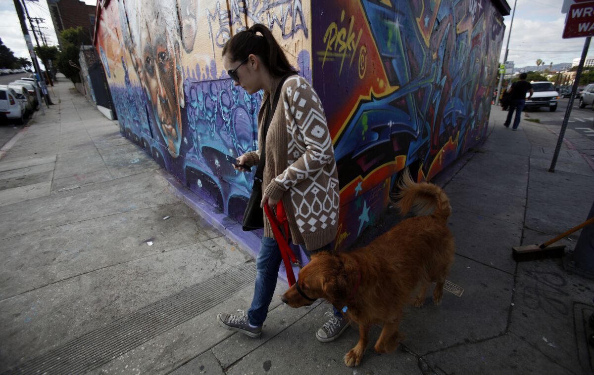 Allison Henry walks her dog Cooper past a mural on Sunset Boulevard in the Silver Lake neighborhood of Los Angeles. When asked if it bothers her that the term "Eastside" is often used to describe her neighborhood, she said no.