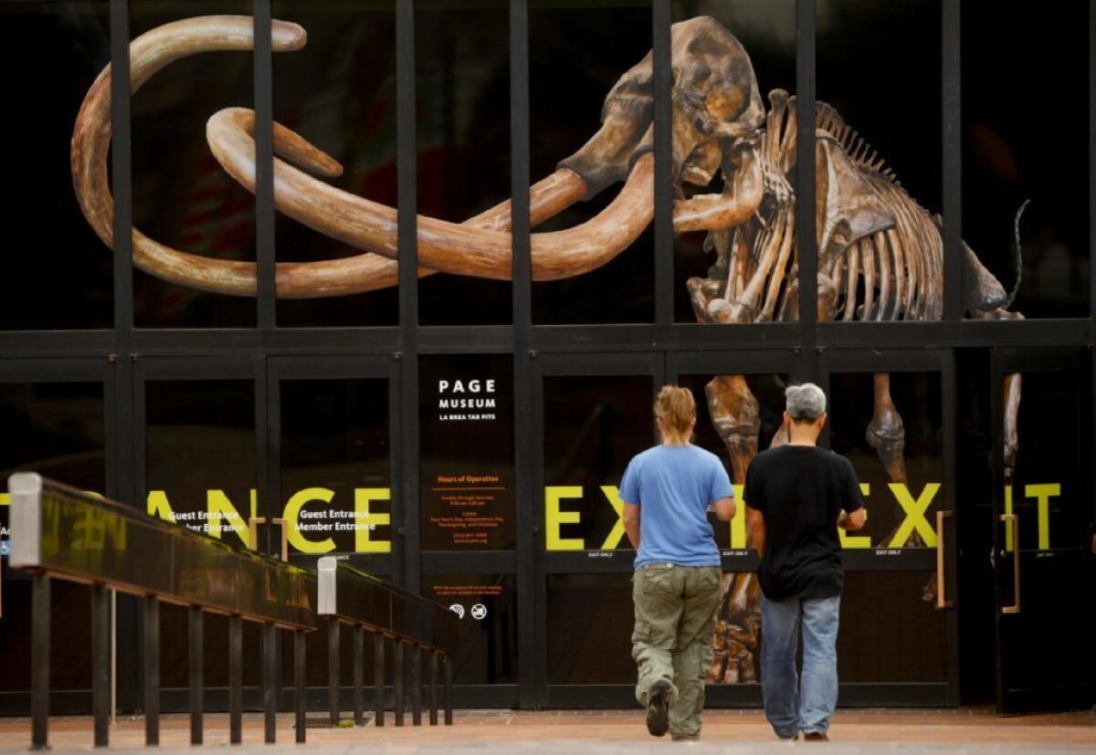 Visitors at the Page Museum at the La Brea Tar Pits.