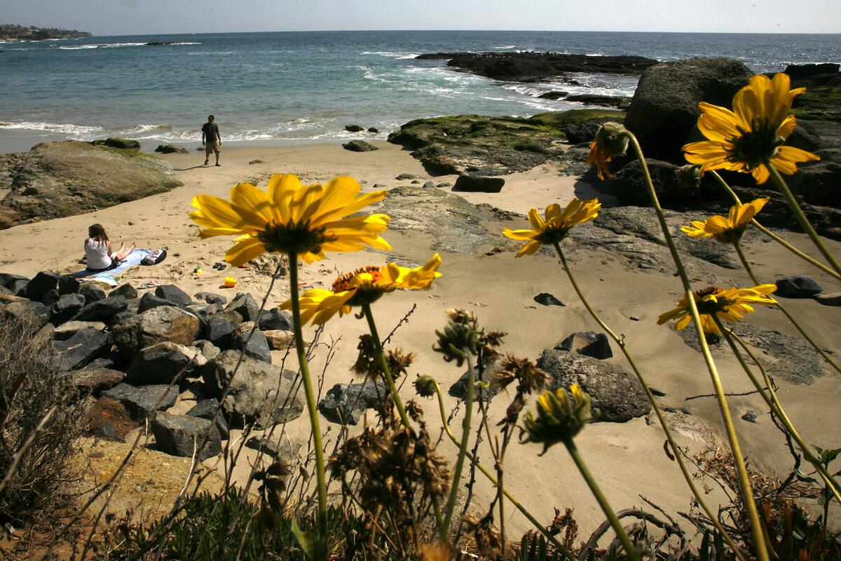 Sand and shoreline, Treasure Island Beach, Laguna Beach.