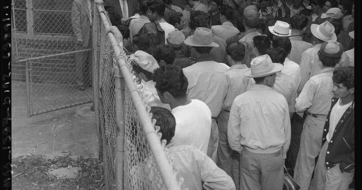 Katkıda bulunan: Sınır dışı etme baskınları ailemi terörize etti. Ve kağıtlarımız vardı