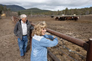 Ranch owners Jim and Mary Rickert stand outside the fence of their cattle corral.