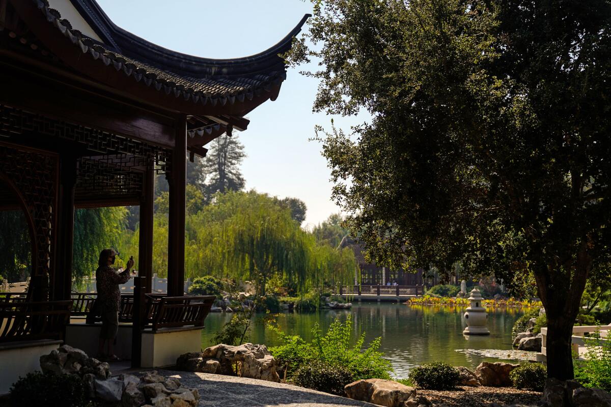 A person takes a photograph at the Chinese Garden at the Huntington Library, Art Museum, and Botanical Gardens.