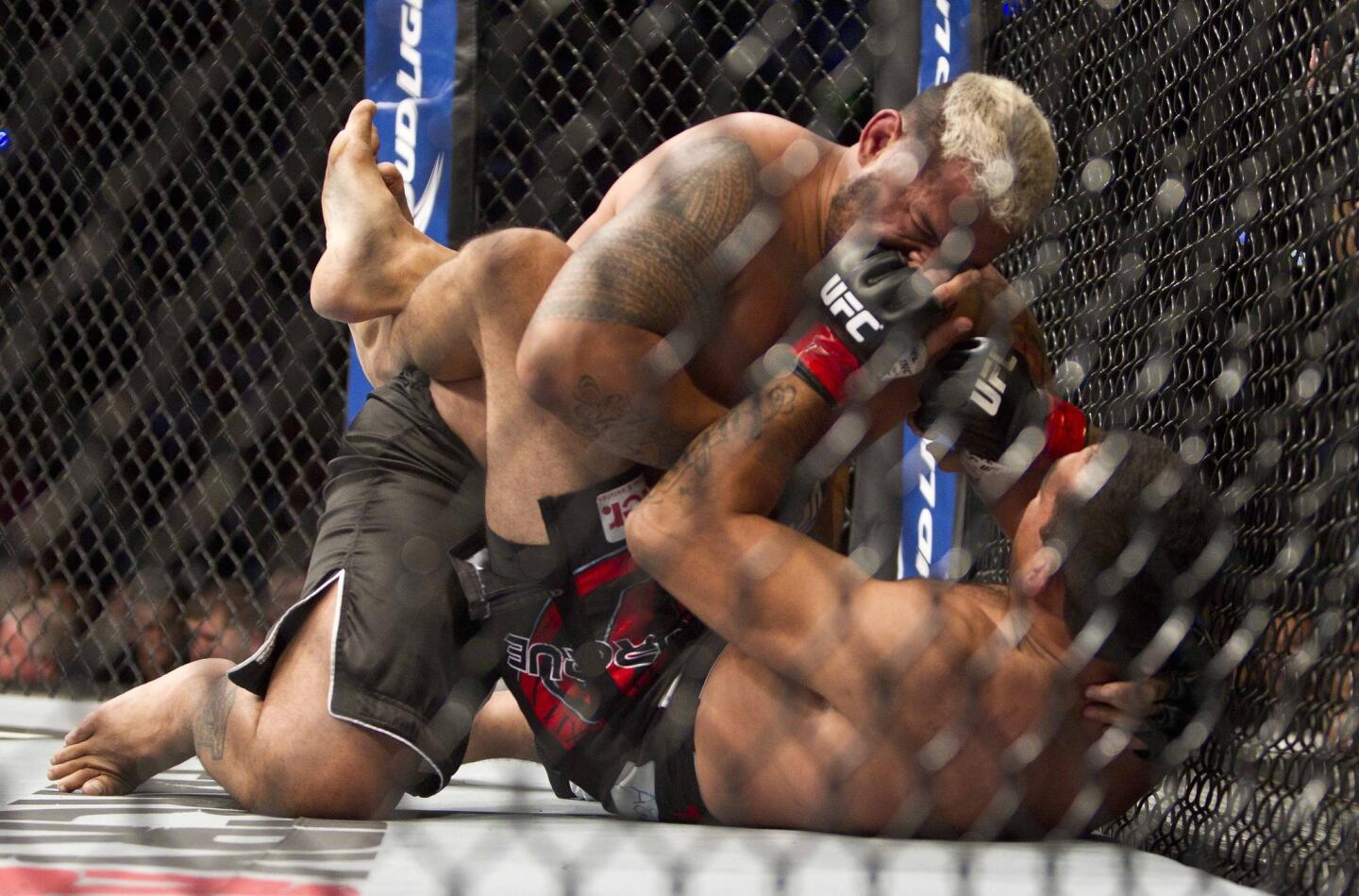 Mark Hunt, Fabricio Werdum