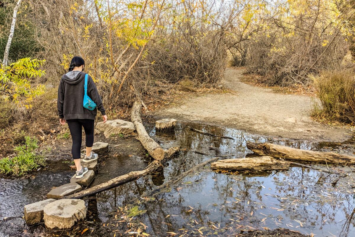 Woman walks across a creek on stones  