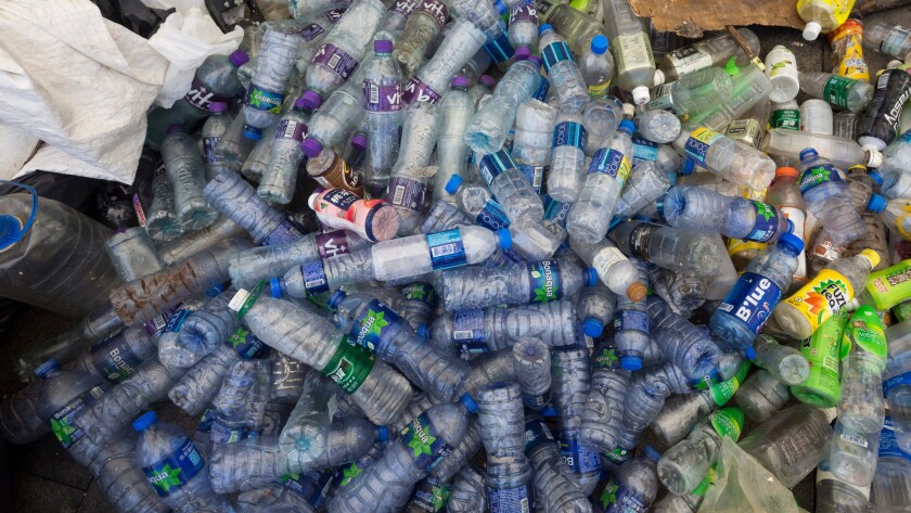 Plastic bottles collected from the water by volunteers in Aberdeen Harbor on the south side of Hong Kong Island in August.