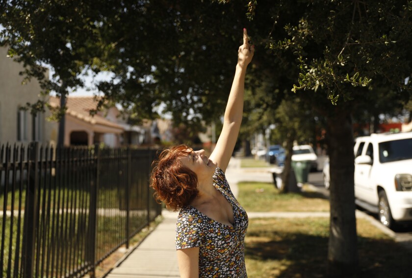 A person points at a tree in Los Angeles.