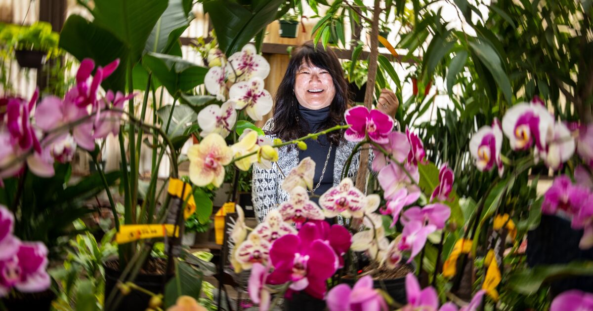 After 100 years, the San Gabriel Nursery and Florist continues to bloom