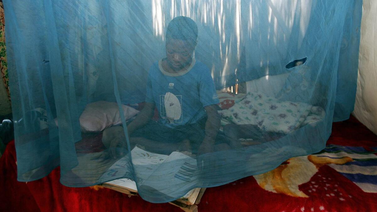 In this file photo, a child sits under a mosquito net in his home in Xai Xai, Mozambique.