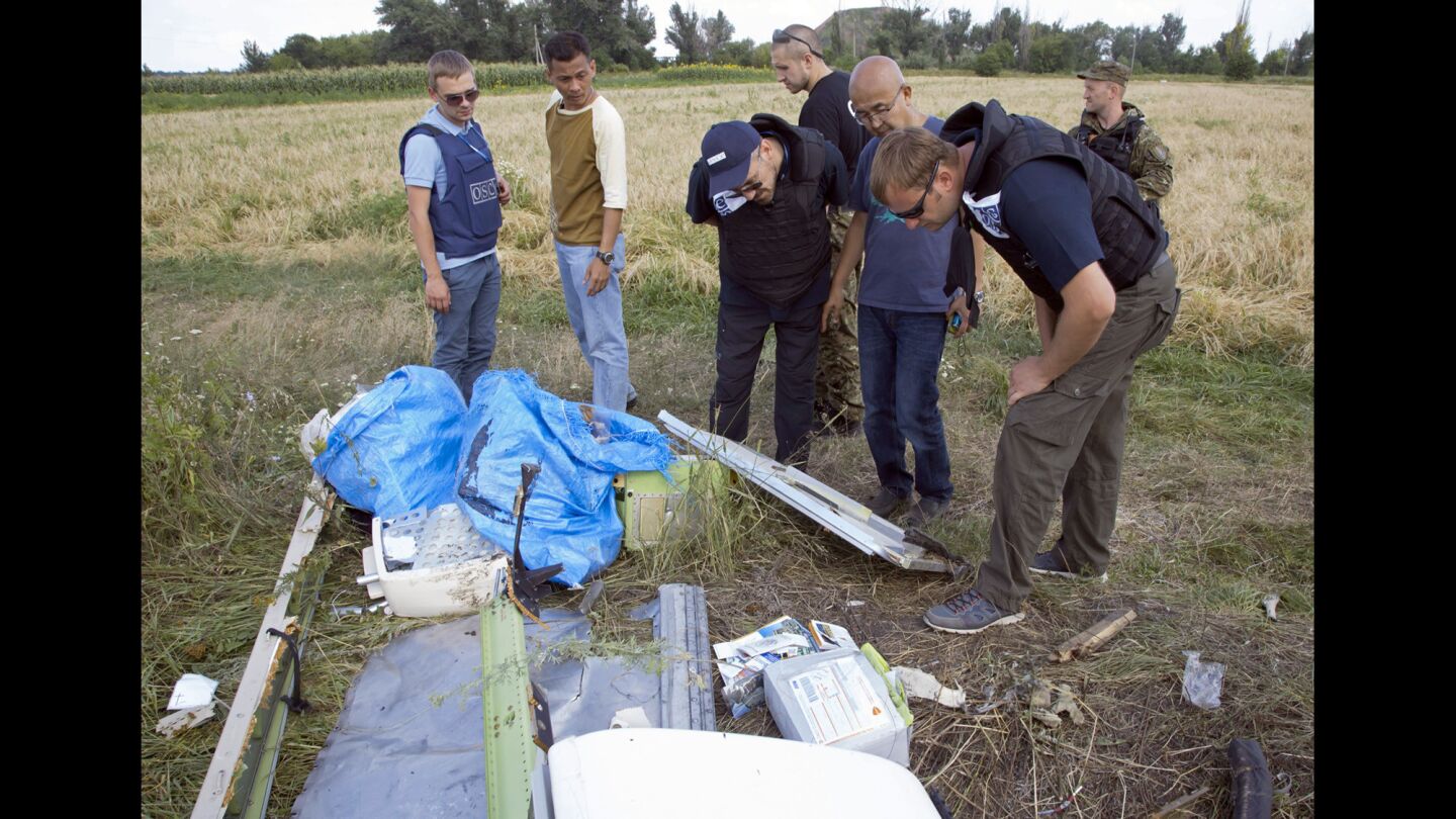 Flight MH17 wreckage