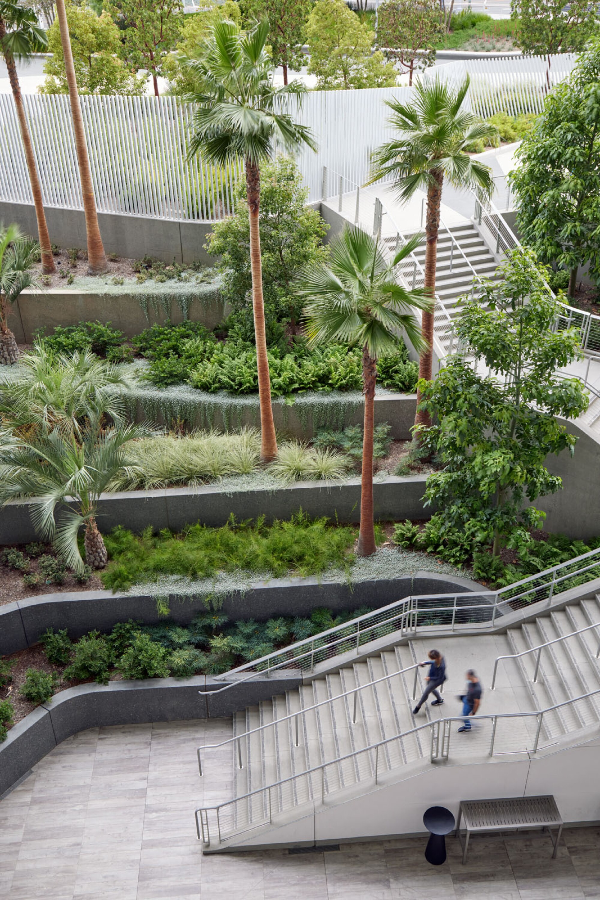 Stairs zigzag through terraced gardens planted with palms and other Mediterranean vegetation